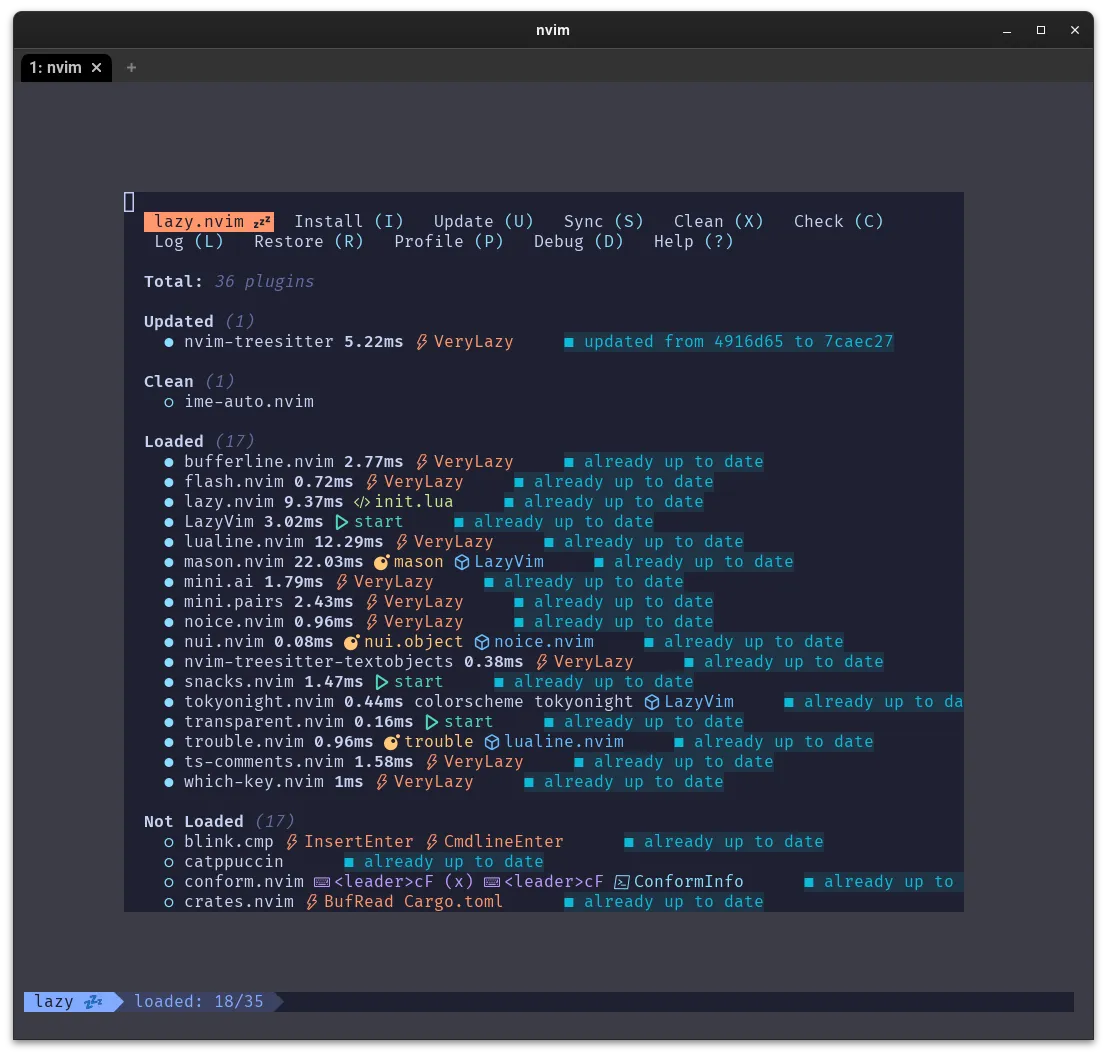 lazyvim2